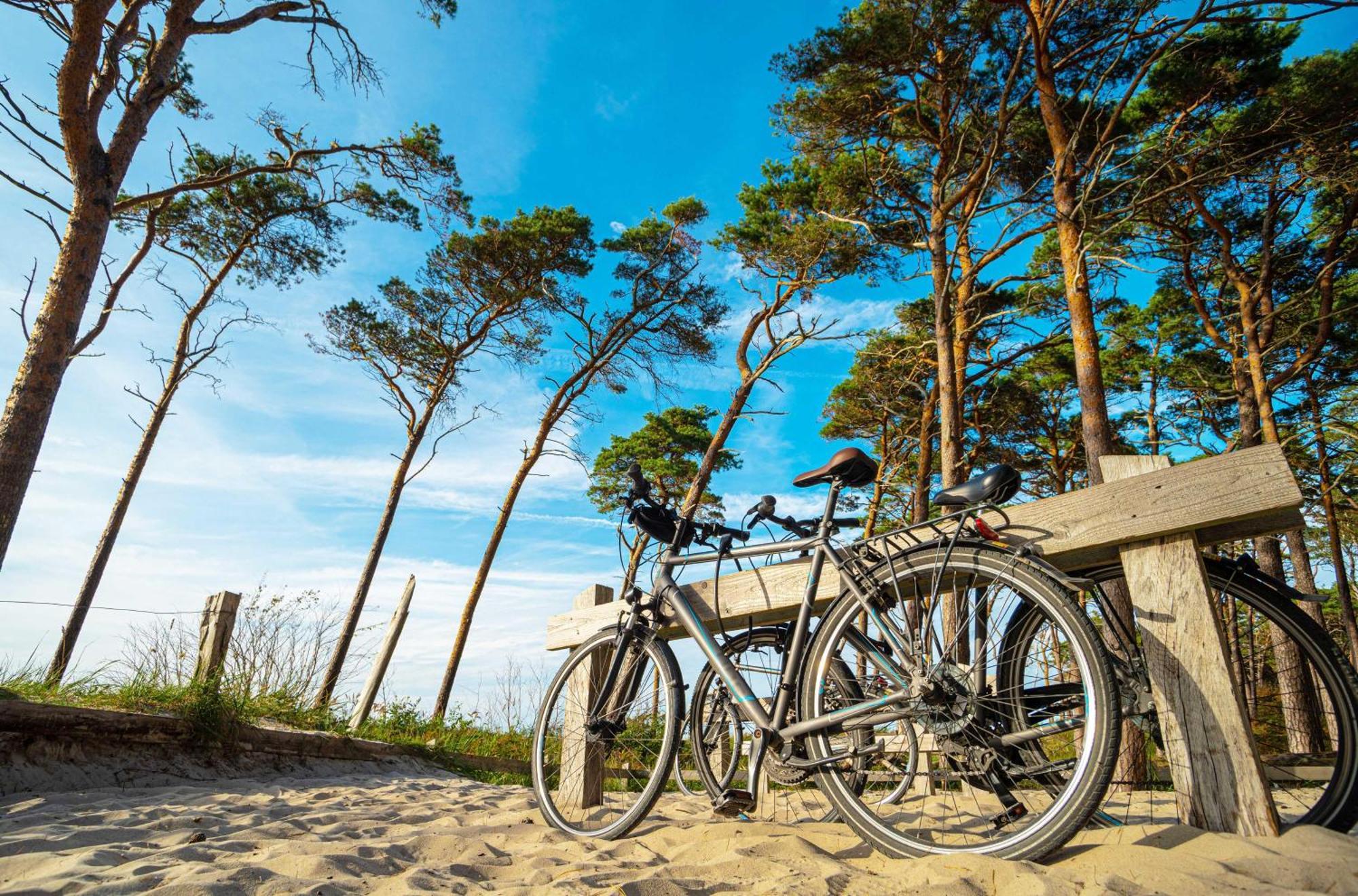 Strandhafer An Der Seebruecke Zingst Exterior photo